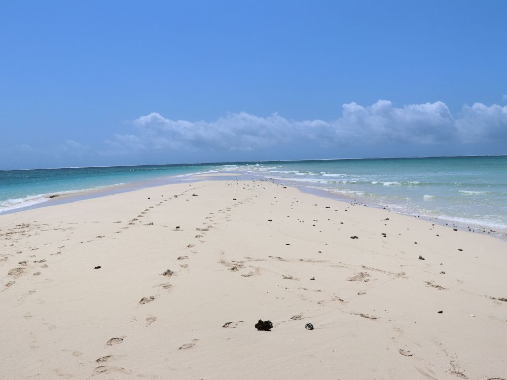 Besøk en sandbanke på Zanzibar