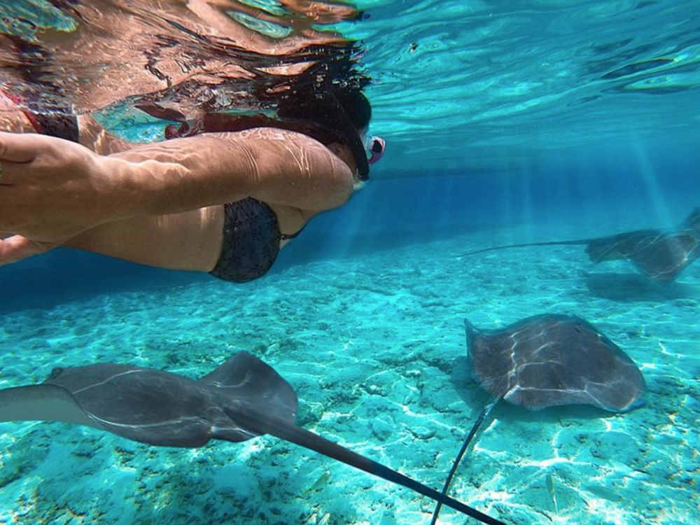 Snorkling Hol Chan Marine Reserve